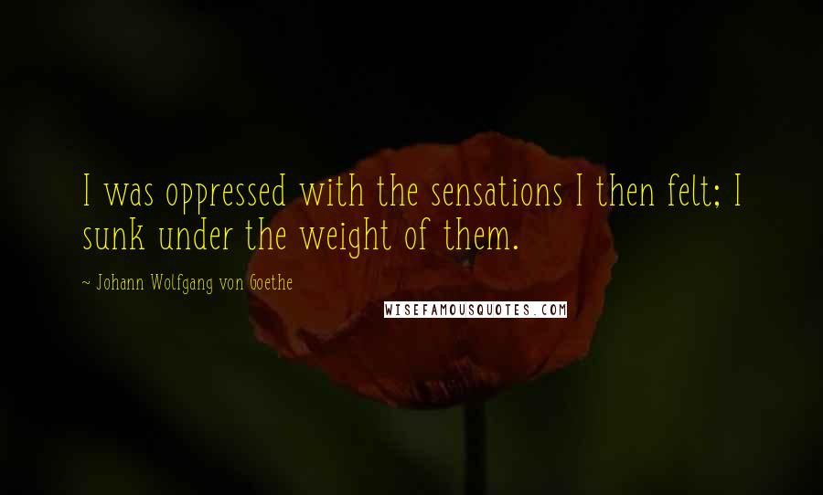 Johann Wolfgang Von Goethe Quotes: I was oppressed with the sensations I then felt; I sunk under the weight of them.