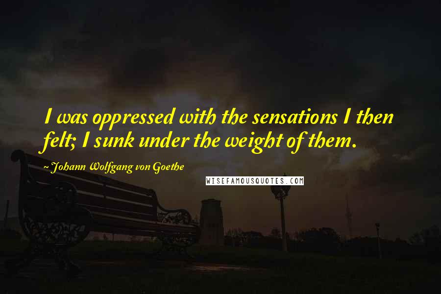 Johann Wolfgang Von Goethe Quotes: I was oppressed with the sensations I then felt; I sunk under the weight of them.