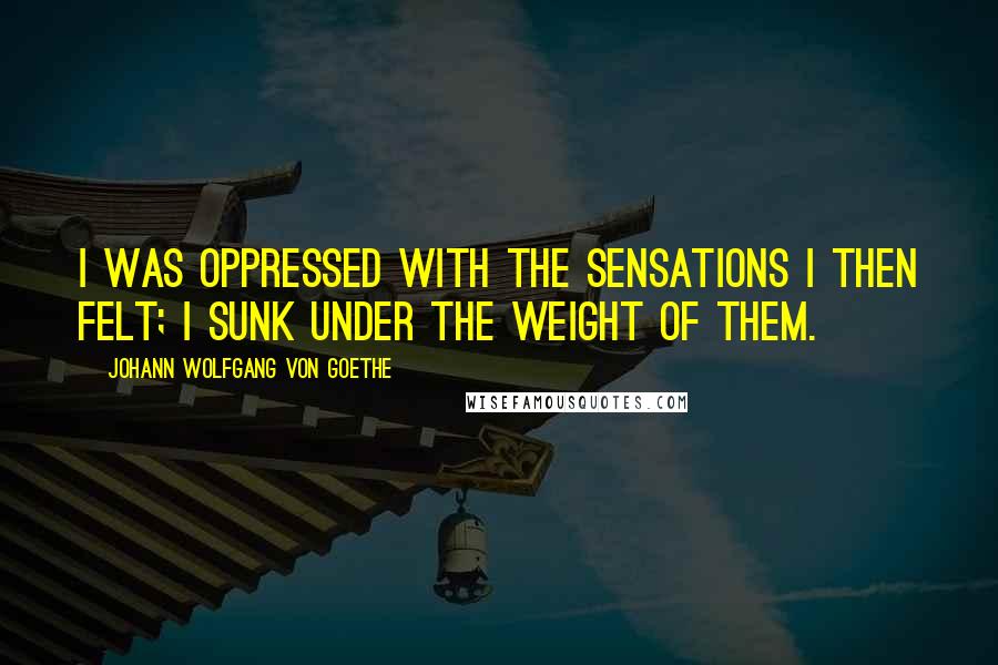 Johann Wolfgang Von Goethe Quotes: I was oppressed with the sensations I then felt; I sunk under the weight of them.