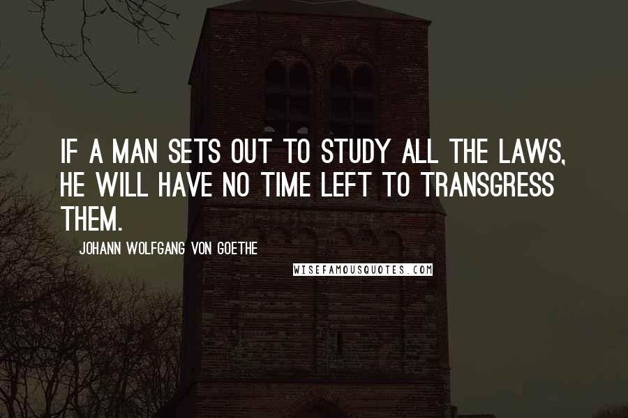 Johann Wolfgang Von Goethe Quotes: If a man sets out to study all the laws, he will have no time left to transgress them.