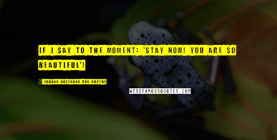 Johann Wolfgang Von Goethe Quotes: If I say to the moment: 'Stay now! You are so beautiful'!