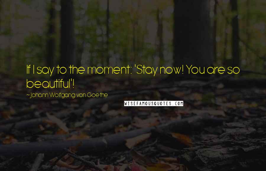 Johann Wolfgang Von Goethe Quotes: If I say to the moment: 'Stay now! You are so beautiful'!