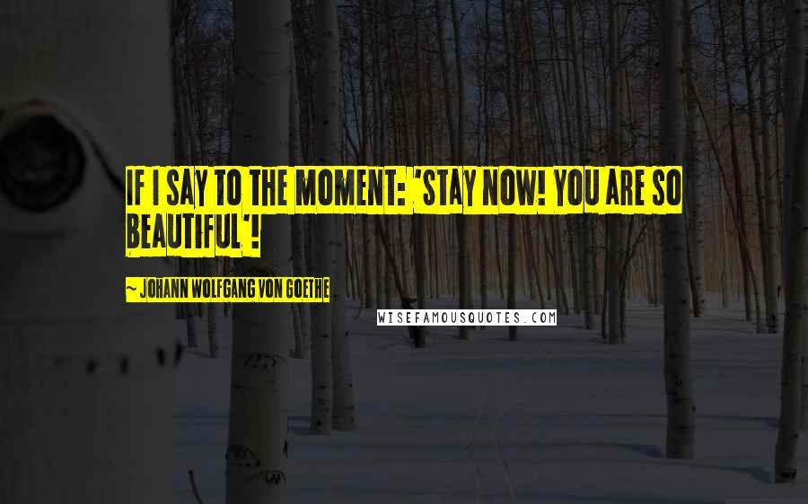 Johann Wolfgang Von Goethe Quotes: If I say to the moment: 'Stay now! You are so beautiful'!