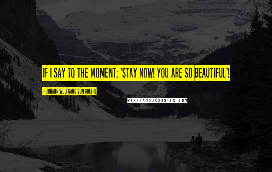 Johann Wolfgang Von Goethe Quotes: If I say to the moment: 'Stay now! You are so beautiful'!