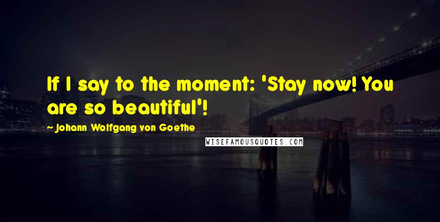 Johann Wolfgang Von Goethe Quotes: If I say to the moment: 'Stay now! You are so beautiful'!