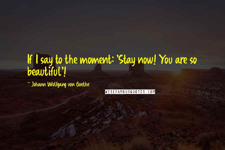 Johann Wolfgang Von Goethe Quotes: If I say to the moment: 'Stay now! You are so beautiful'!