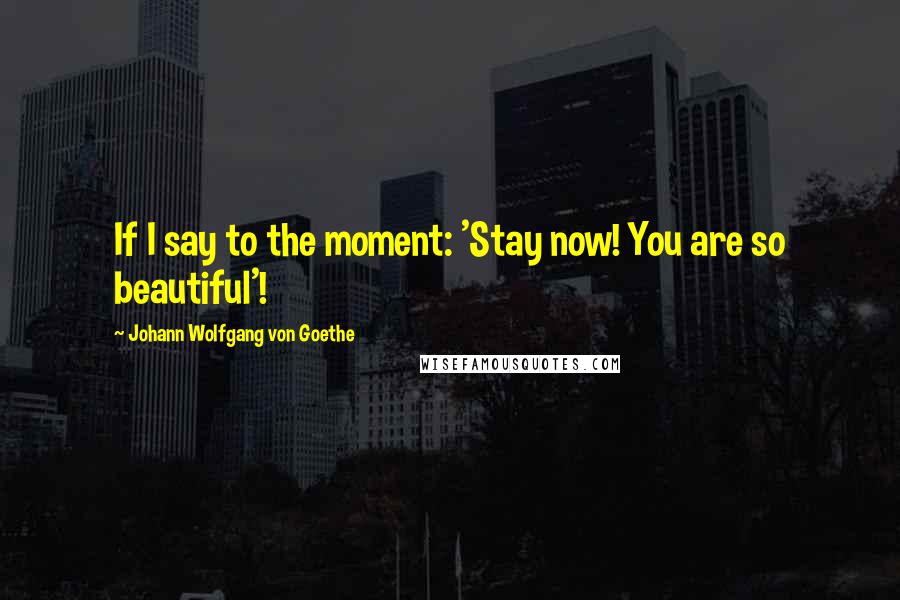 Johann Wolfgang Von Goethe Quotes: If I say to the moment: 'Stay now! You are so beautiful'!