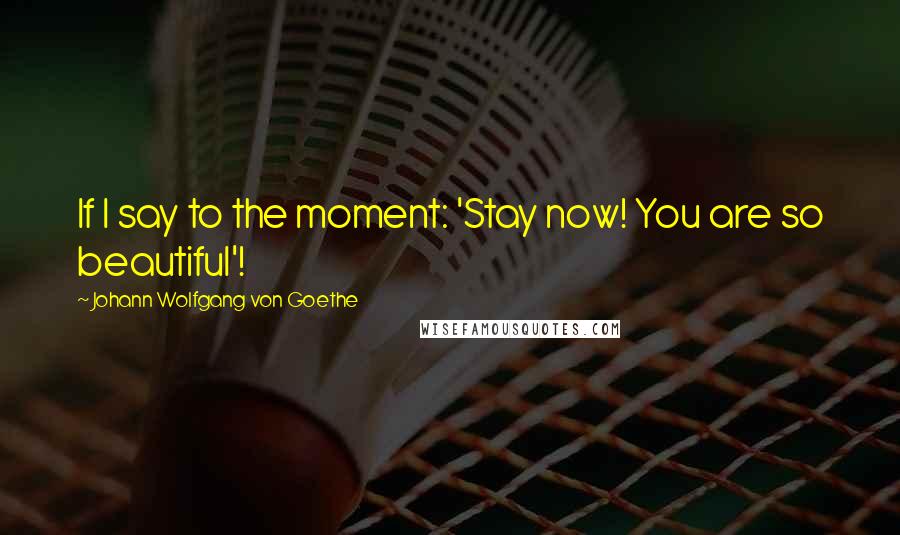 Johann Wolfgang Von Goethe Quotes: If I say to the moment: 'Stay now! You are so beautiful'!