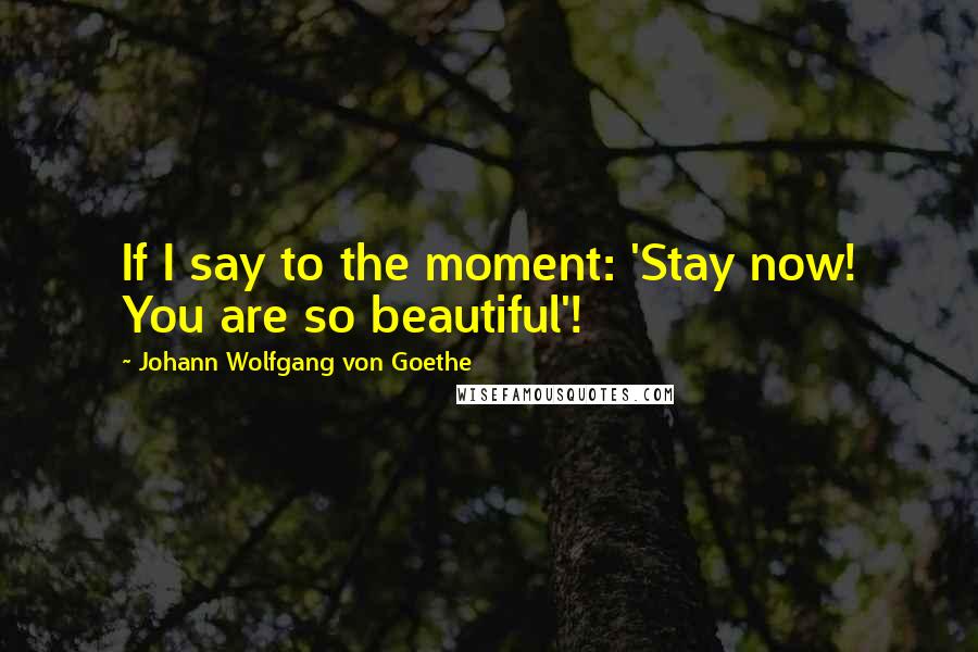 Johann Wolfgang Von Goethe Quotes: If I say to the moment: 'Stay now! You are so beautiful'!