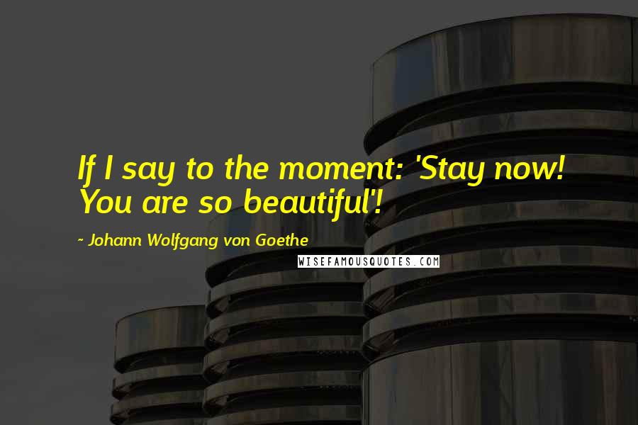 Johann Wolfgang Von Goethe Quotes: If I say to the moment: 'Stay now! You are so beautiful'!