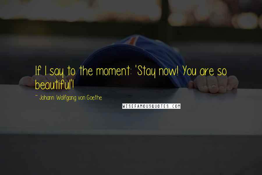 Johann Wolfgang Von Goethe Quotes: If I say to the moment: 'Stay now! You are so beautiful'!