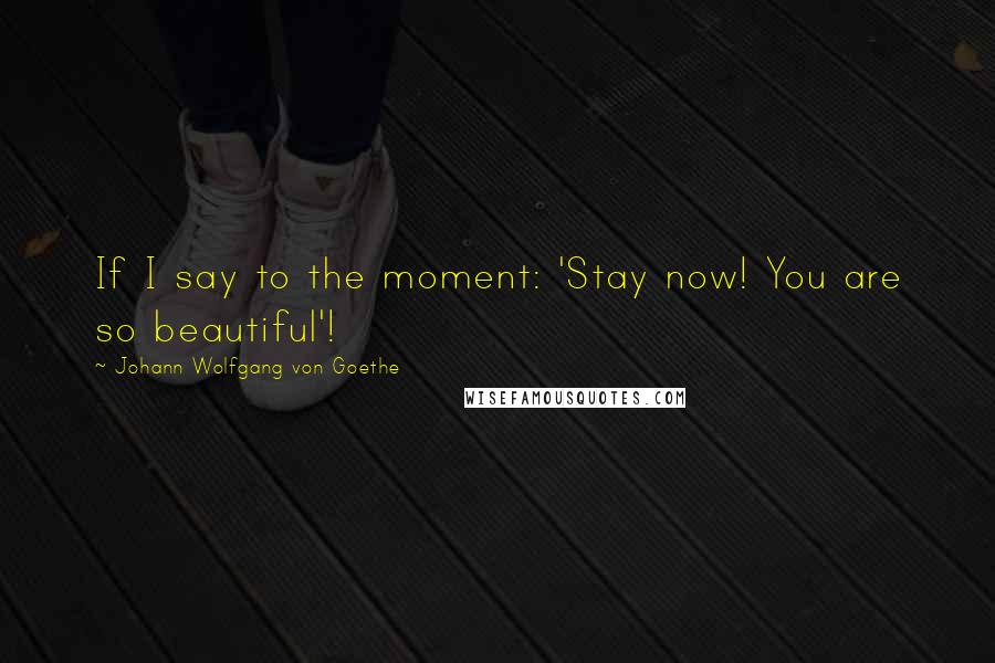 Johann Wolfgang Von Goethe Quotes: If I say to the moment: 'Stay now! You are so beautiful'!