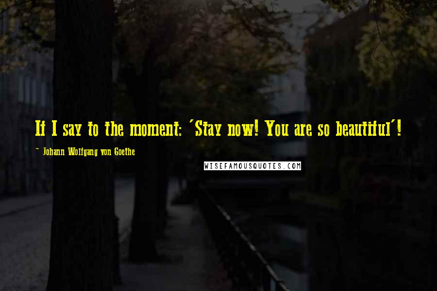 Johann Wolfgang Von Goethe Quotes: If I say to the moment: 'Stay now! You are so beautiful'!