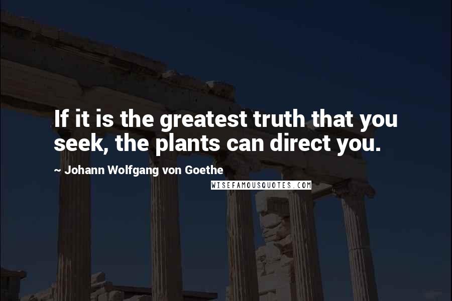 Johann Wolfgang Von Goethe Quotes: If it is the greatest truth that you seek, the plants can direct you.