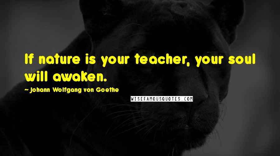 Johann Wolfgang Von Goethe Quotes: If nature is your teacher, your soul will awaken.