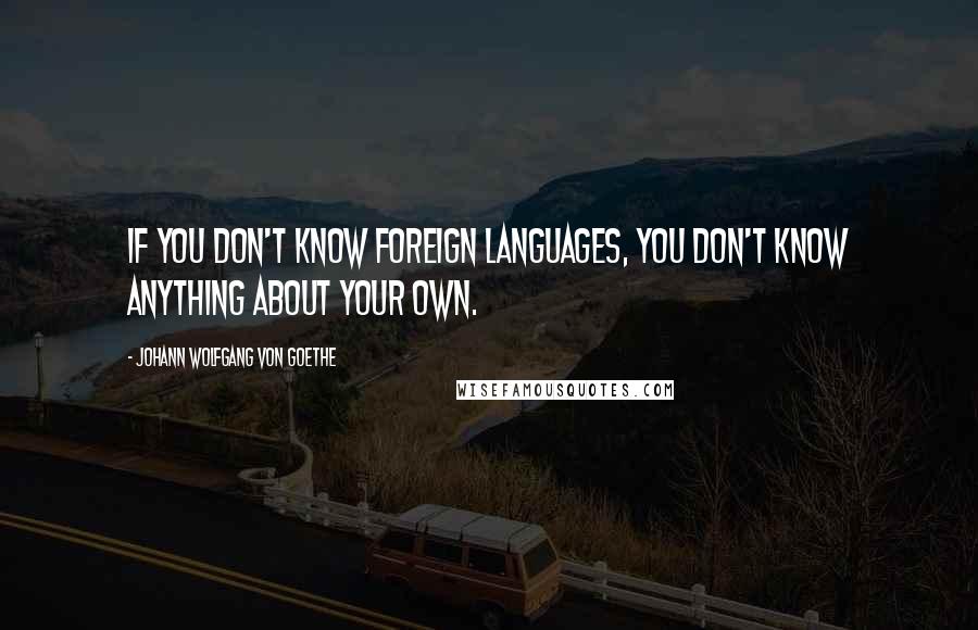 Johann Wolfgang Von Goethe Quotes: If you don't know foreign languages, you don't know anything about your own.