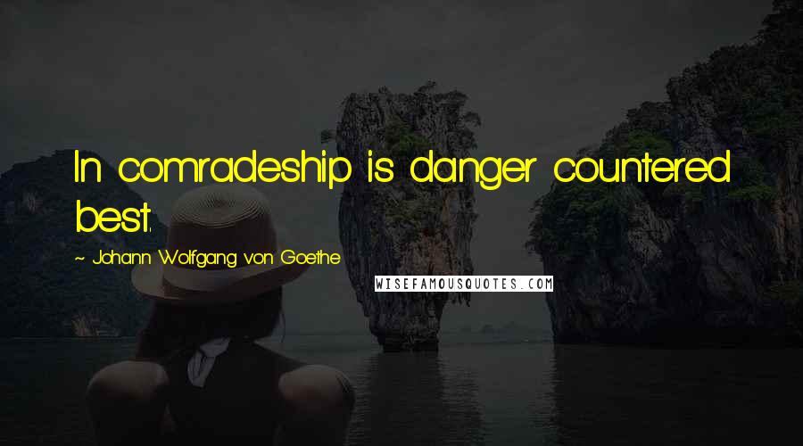 Johann Wolfgang Von Goethe Quotes: In comradeship is danger countered best.