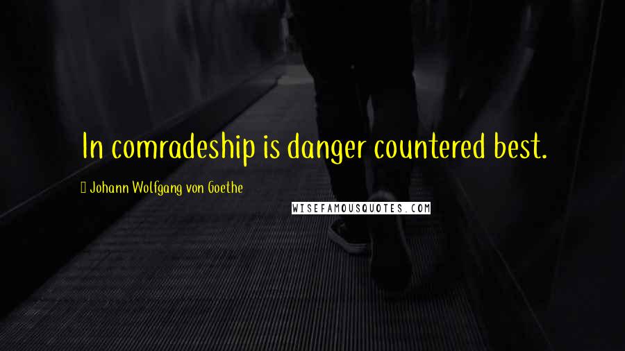 Johann Wolfgang Von Goethe Quotes: In comradeship is danger countered best.