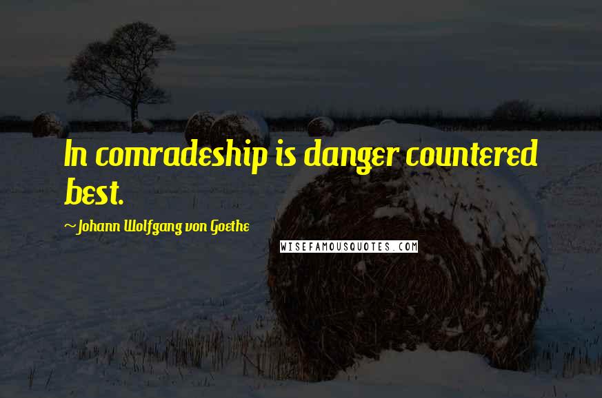 Johann Wolfgang Von Goethe Quotes: In comradeship is danger countered best.