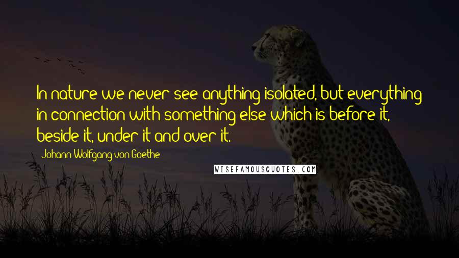 Johann Wolfgang Von Goethe Quotes: In nature we never see anything isolated, but everything in connection with something else which is before it, beside it, under it and over it.