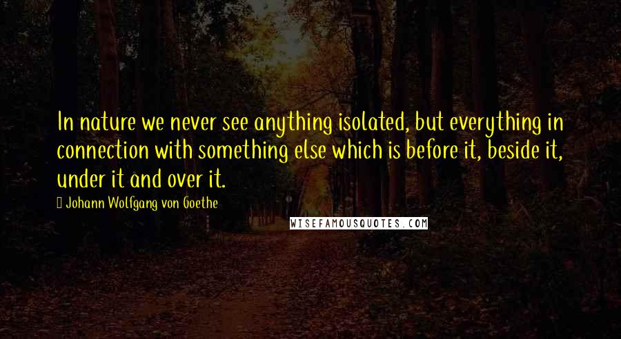 Johann Wolfgang Von Goethe Quotes: In nature we never see anything isolated, but everything in connection with something else which is before it, beside it, under it and over it.
