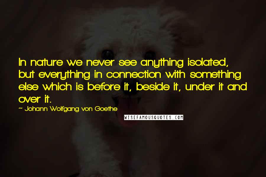 Johann Wolfgang Von Goethe Quotes: In nature we never see anything isolated, but everything in connection with something else which is before it, beside it, under it and over it.