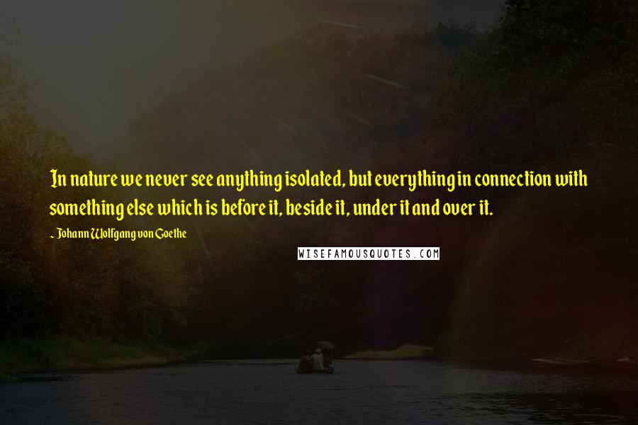 Johann Wolfgang Von Goethe Quotes: In nature we never see anything isolated, but everything in connection with something else which is before it, beside it, under it and over it.