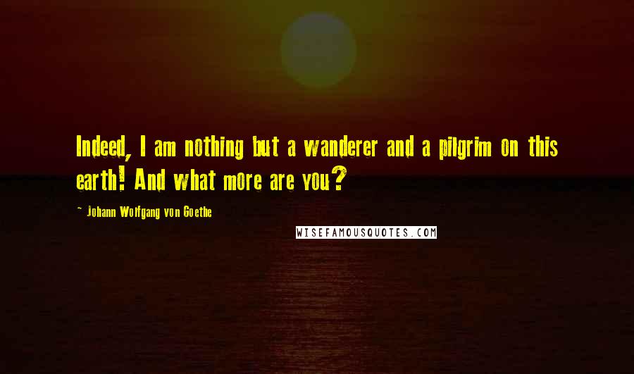 Johann Wolfgang Von Goethe Quotes: Indeed, I am nothing but a wanderer and a pilgrim on this earth! And what more are you?