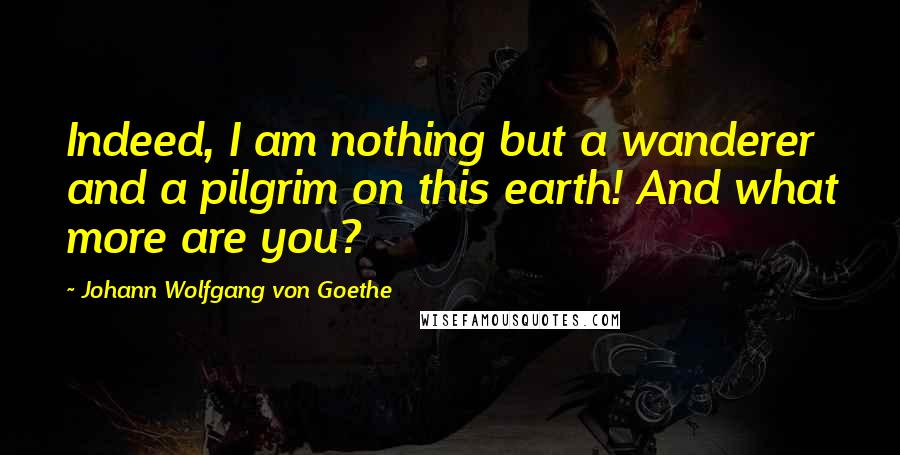 Johann Wolfgang Von Goethe Quotes: Indeed, I am nothing but a wanderer and a pilgrim on this earth! And what more are you?