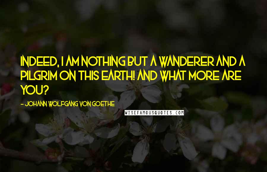 Johann Wolfgang Von Goethe Quotes: Indeed, I am nothing but a wanderer and a pilgrim on this earth! And what more are you?