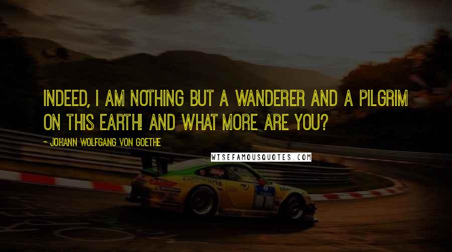 Johann Wolfgang Von Goethe Quotes: Indeed, I am nothing but a wanderer and a pilgrim on this earth! And what more are you?