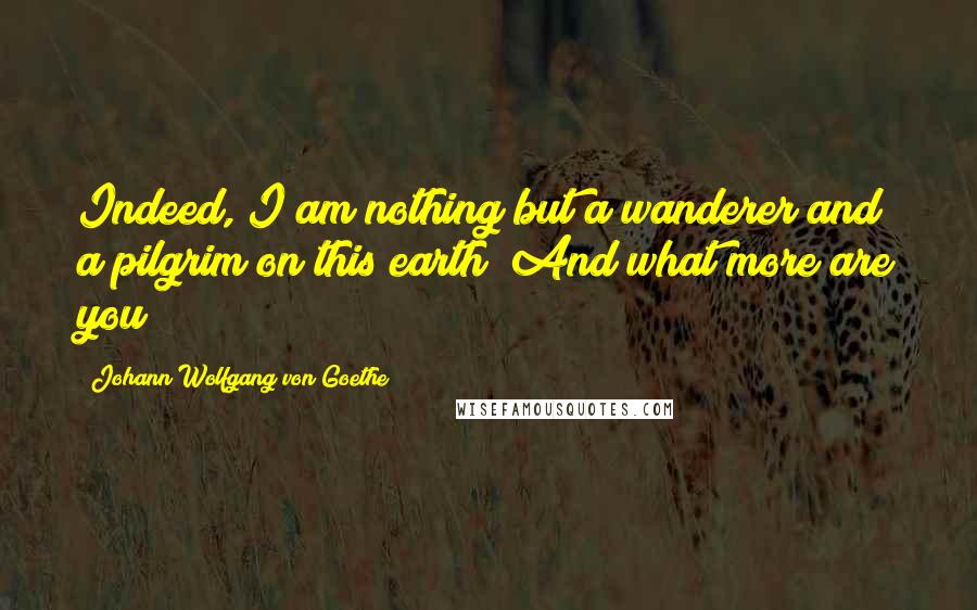 Johann Wolfgang Von Goethe Quotes: Indeed, I am nothing but a wanderer and a pilgrim on this earth! And what more are you?