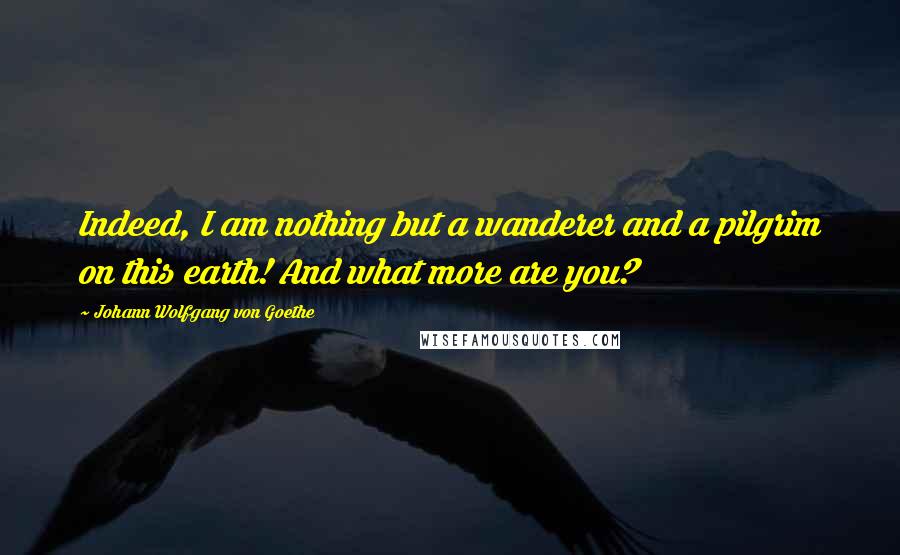 Johann Wolfgang Von Goethe Quotes: Indeed, I am nothing but a wanderer and a pilgrim on this earth! And what more are you?