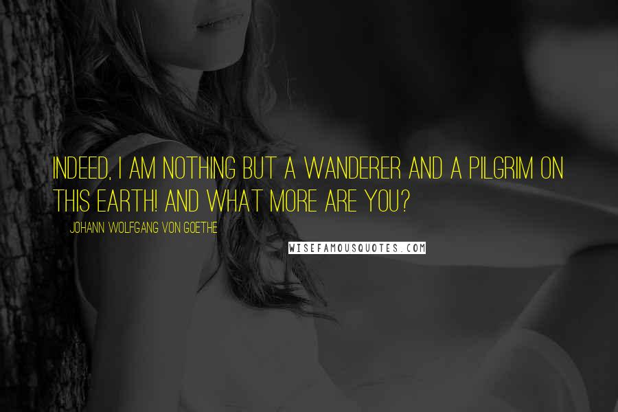 Johann Wolfgang Von Goethe Quotes: Indeed, I am nothing but a wanderer and a pilgrim on this earth! And what more are you?