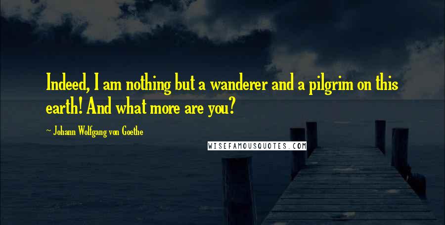 Johann Wolfgang Von Goethe Quotes: Indeed, I am nothing but a wanderer and a pilgrim on this earth! And what more are you?