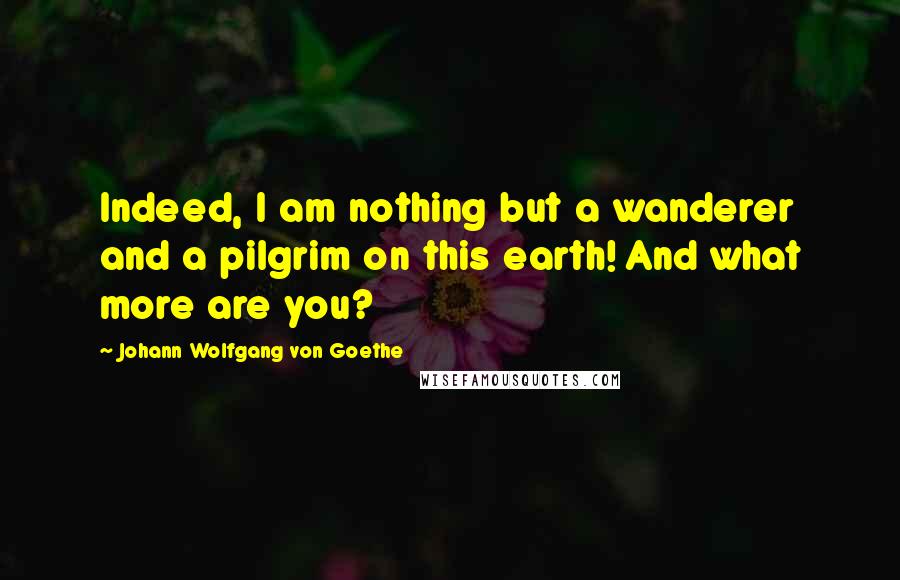 Johann Wolfgang Von Goethe Quotes: Indeed, I am nothing but a wanderer and a pilgrim on this earth! And what more are you?