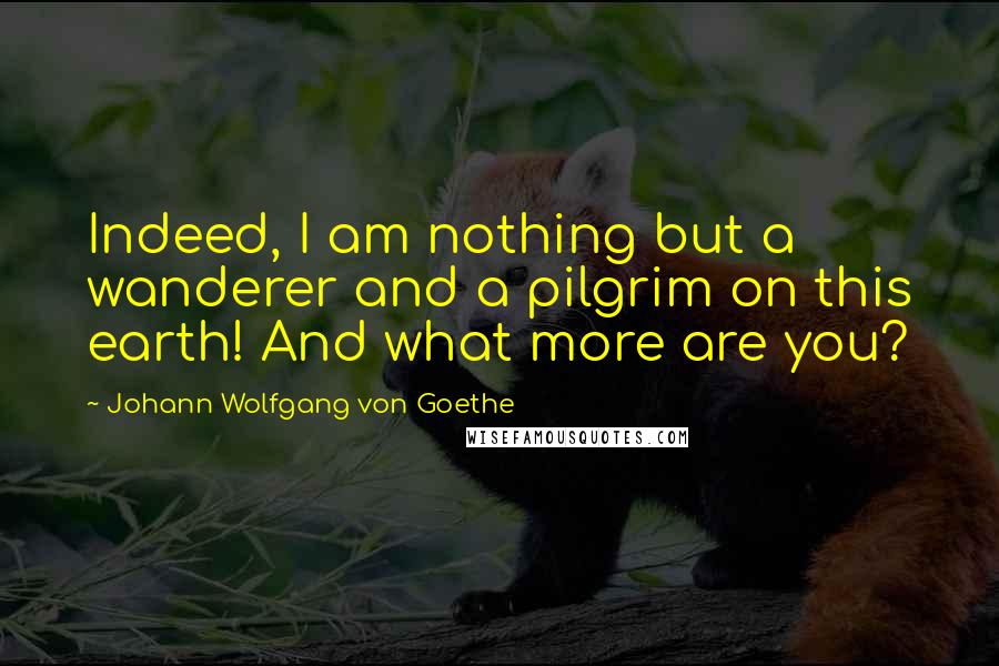 Johann Wolfgang Von Goethe Quotes: Indeed, I am nothing but a wanderer and a pilgrim on this earth! And what more are you?