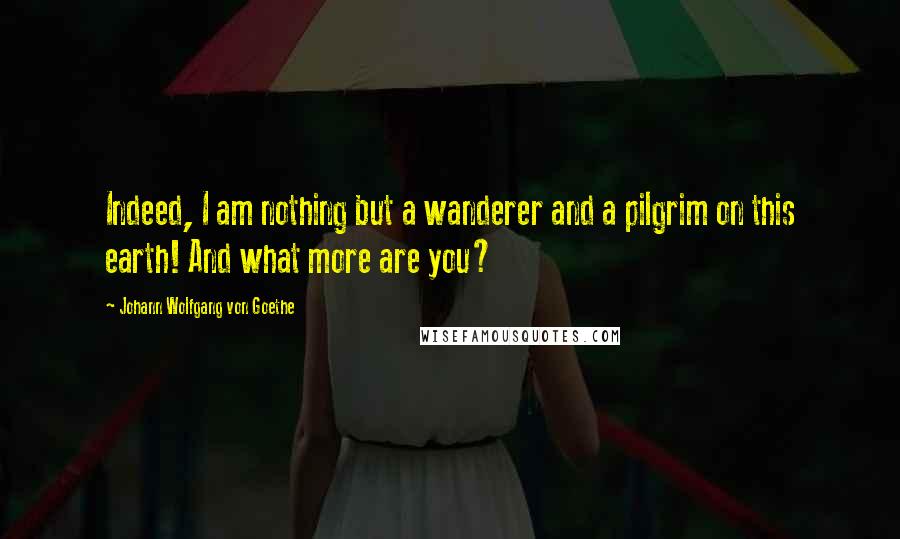 Johann Wolfgang Von Goethe Quotes: Indeed, I am nothing but a wanderer and a pilgrim on this earth! And what more are you?