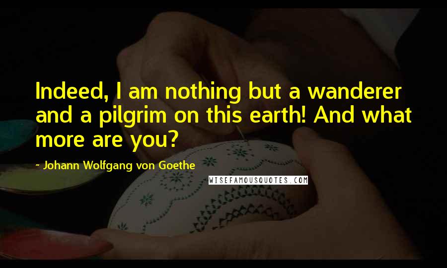 Johann Wolfgang Von Goethe Quotes: Indeed, I am nothing but a wanderer and a pilgrim on this earth! And what more are you?