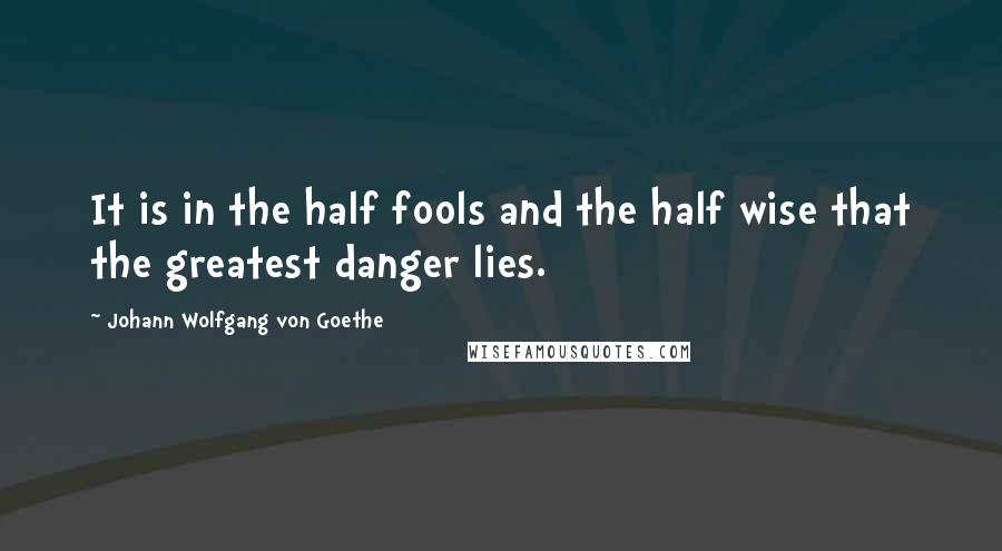 Johann Wolfgang Von Goethe Quotes: It is in the half fools and the half wise that the greatest danger lies.