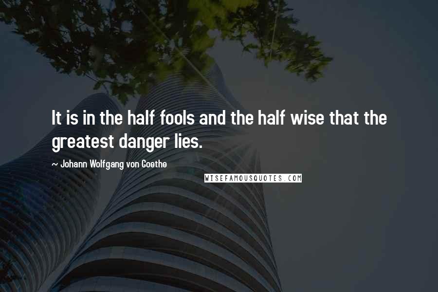 Johann Wolfgang Von Goethe Quotes: It is in the half fools and the half wise that the greatest danger lies.