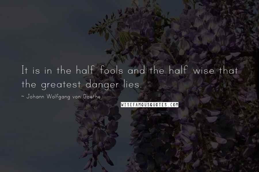 Johann Wolfgang Von Goethe Quotes: It is in the half fools and the half wise that the greatest danger lies.