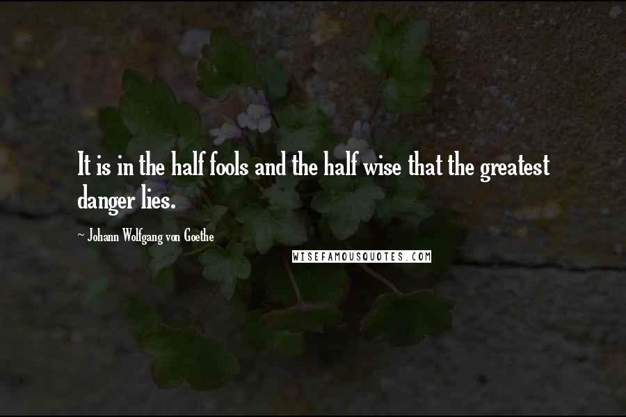 Johann Wolfgang Von Goethe Quotes: It is in the half fools and the half wise that the greatest danger lies.