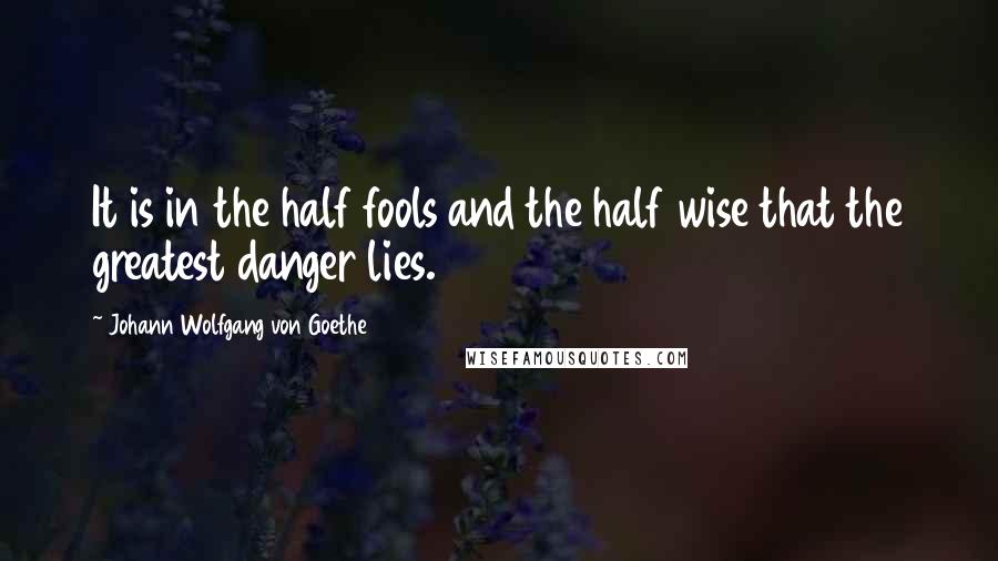 Johann Wolfgang Von Goethe Quotes: It is in the half fools and the half wise that the greatest danger lies.