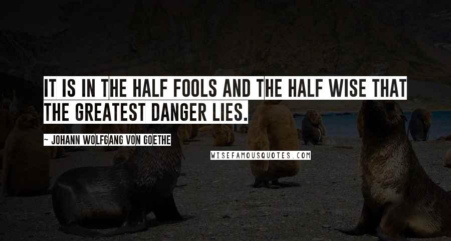 Johann Wolfgang Von Goethe Quotes: It is in the half fools and the half wise that the greatest danger lies.