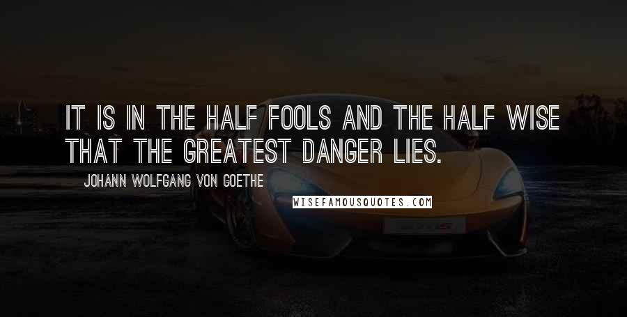 Johann Wolfgang Von Goethe Quotes: It is in the half fools and the half wise that the greatest danger lies.