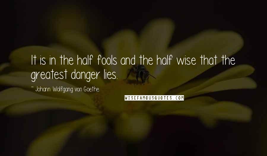 Johann Wolfgang Von Goethe Quotes: It is in the half fools and the half wise that the greatest danger lies.