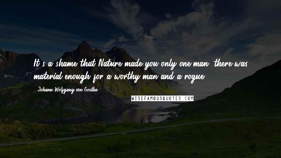 Johann Wolfgang Von Goethe Quotes: It's a shame that Nature made you only one man; there was material enough for a worthy man and a rogue.