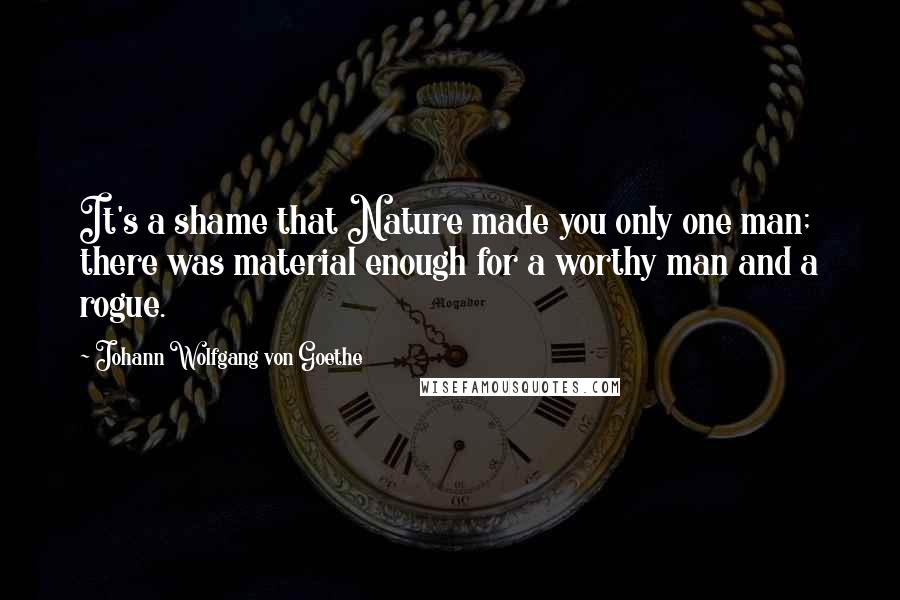 Johann Wolfgang Von Goethe Quotes: It's a shame that Nature made you only one man; there was material enough for a worthy man and a rogue.