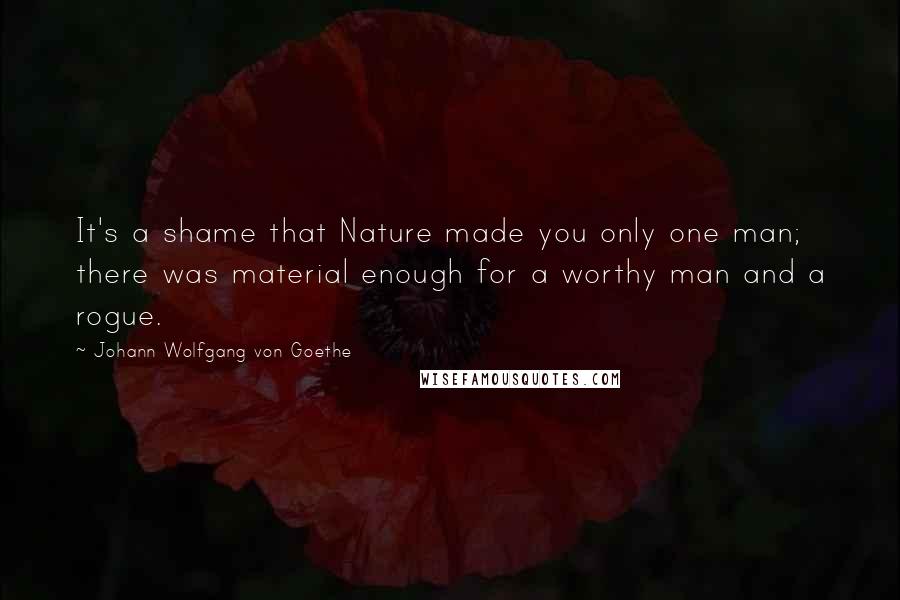 Johann Wolfgang Von Goethe Quotes: It's a shame that Nature made you only one man; there was material enough for a worthy man and a rogue.